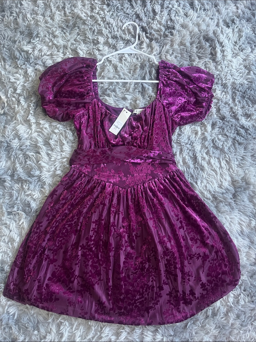 Francesca's Plum Velvet Burnout Mini Dress